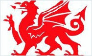 Welsh Celtic Dragon