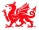 Celtic-Welsh Dragon